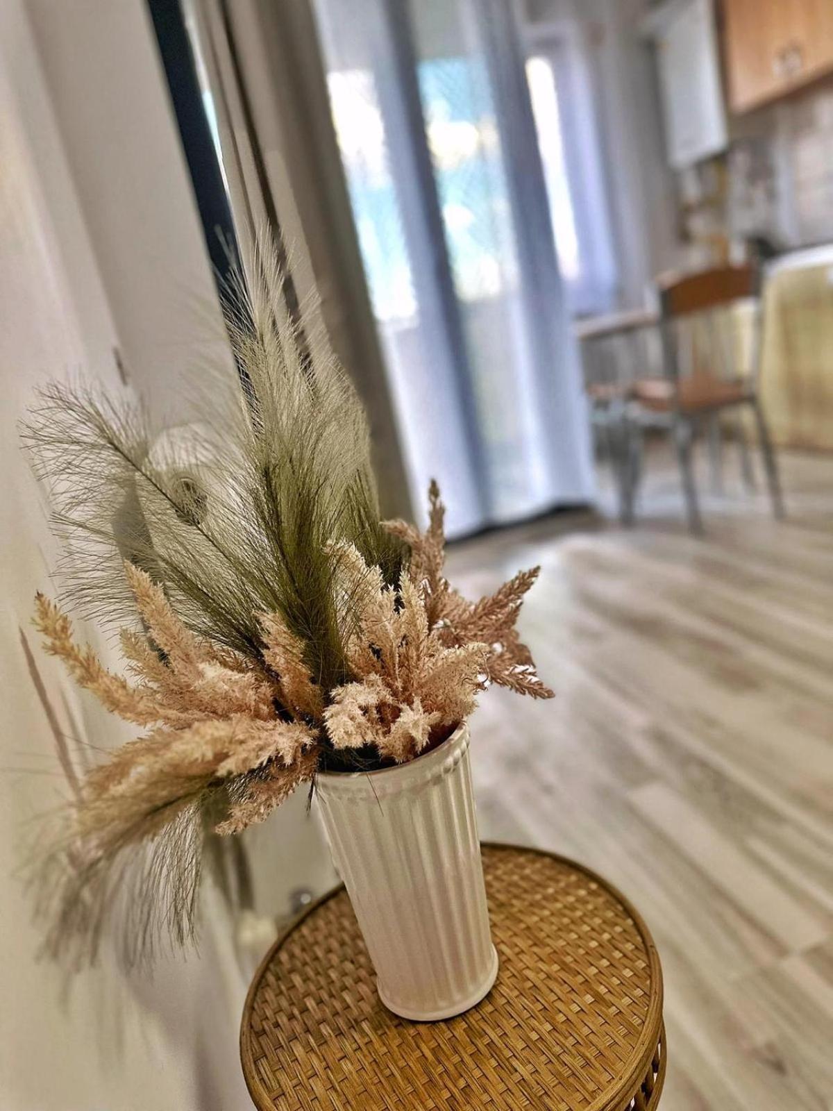 Jolie Studios & Apartments Eforie Nord Dış mekan fotoğraf